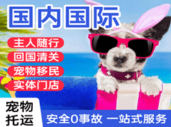 陇南成县航空托运国际宠物托运 【国